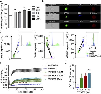 The GPR40 Agonist GW9508 Enhances Neutrophil Function to Aid Bacterial Clearance During E. coli Infections